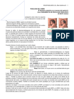 Sueño PDF