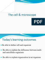 Cells and Microscope Complete