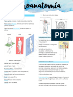 Neuroanatomía Fubi Solemne II