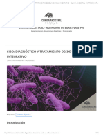 Sibo - Diagnóstico y Tratamiento Desde Un Enfoque Integrativo - Clínica Ancestral - Nutrición Integrativa & Pni