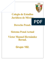 Ensayo Derecho Penal Sistema Penal Actual