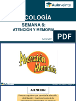 S6-Atención y Memoria