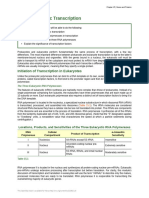 Eukaryotic Transcription