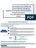 Actividad Probatoria