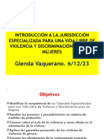 2.3. Jurisdicción Especializada y Competencia 061223