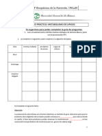 TP Metabolismo de Lipidos - 1