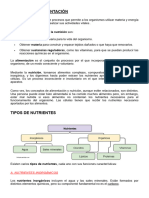 NUTRICIÓN Y ALIMENTACIÓN (Apuntes)