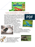 Los Animales Vertebrados