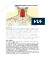 Artigo - Casos Clínicos em Fisioterapia