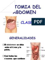 Anatomía Del Abdomen