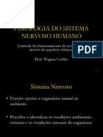 Aula Fisiologia 2