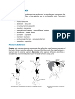 Body Movements