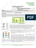 Guia 8 Octavo Biologia