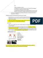 Endodoncia en Diente Primario