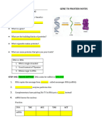 GENE TO PROTEIN Notes 2023