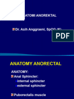 Anatomy Anorektal