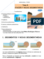 T8 - Sedimentacion y Rocas Sedimentarias