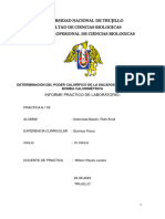 Informe 03 Quimica Fisica