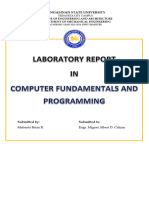 Laboratory Report 13