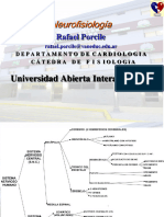 Neurofisiologia Rafael Porcile