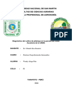 Informe Final de Practicas Intermedias