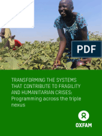 BP Fragility Humanitarian Crises Triple Nexus 150721 en