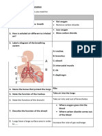 Year 8 Breathing and Respiration