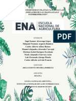 Investigar "Fotosintesis en Plantas C4, Plantas Cam (Metabolismo Acido de Las Crasulaceas) y Fotorrespiracion"