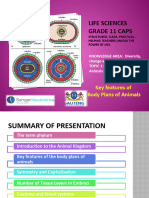 PP12 Biodiversity of Animals