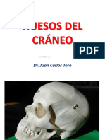 Huesos Del Cráneo