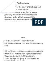 Botany Lesson 4