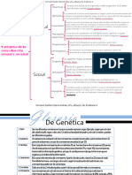 Carmona Casillas Valerie Andrea-Evidencias