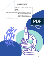 Lab Report 2