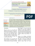 Performance Evaluation of Maize Hybrids