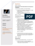 Curriculum Vitae Doc - María Palomino