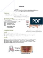 TEMA 17 Corazón