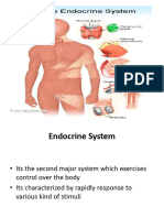 Endocrine System/social