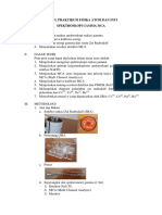 Modul Spektroskopi Gamma