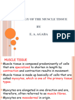 Ana 221 Muscle Tissue