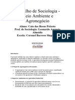 Trabalho de Sociologia - Meio Ambiente e Agronegócio