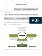 Gsed 10 - Gestion de Riesgos