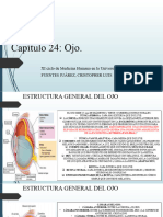 Capítulo 24 Ojo