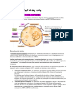 2° Parcial Biología - PDF?