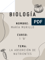 Proyecto Biologia - María Murillo 1 B