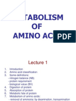 Biochemistry II Protein (Metabolism of Amino Acids) (New Edition)