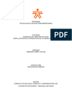 Establecimiento de Un Proyecto Productivo de 1 Hectárea de Plátano Sena