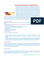 La Gran Importancia de Las Proteínas en La Alimentación