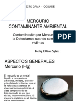 Mercurio Contaminante Ambiental