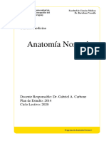 Programa Analítico Anatomía Medicina - UCU