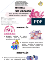 Proyecto: CA de Mama y Lactancia 2